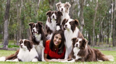 The Sydney Lovers Dog Show