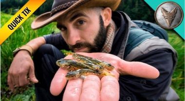 Coyote Peterson Brave Adventures