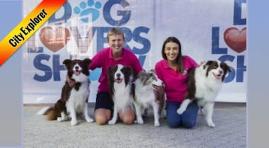 Sydney Dog Lovers Show 2019