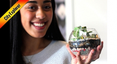 Make A Mini Hanging Terrarium